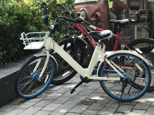 最新土坡自行车爆料事件,揭秘最新校园安全争议